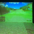 리얼스크린골프존 이미지