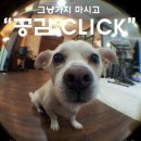 브랜드커넬 이미지