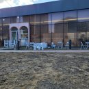 카페 MIMINKO | 서울근교 강아지 천연잔디운동장 애견카페 미밍코 광명점 다녀왔어요:D 내돈내산