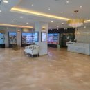 도그마루 강아지고양이 평택점 이미지