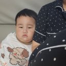 뽀뽀야어린이집 이미지