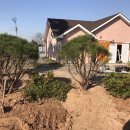 웨스트메도우 이미지