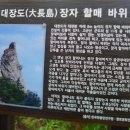 장자도바위섬민박 이미지