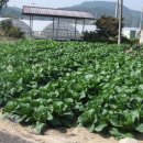 주천면 행정마을 이미지