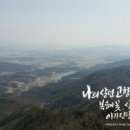 캘리그라피 이미지