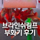 구피 카카오 검색결과