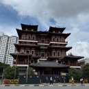 용차이나 | 싱가포르 차이나타운 여행 코스 추천 및 호커센터 맥스웰 푸드센터 솔직후기