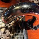 8호선 문정역(개찰구 밖) | 송파 문정동 맛집 고깃집 데이트 식사장소 양고기 돼지고기 구워주는집 램샾폭샾