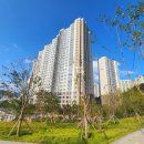 다모아부동산중개 이미지