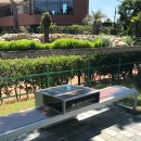 을숙도 리틀야구장 이미지