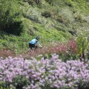 서울의 봄 이미지