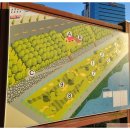 수내동파크골프장 이미지