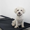 월드유치원 이미지