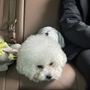 봉구네농산물직판장 | 1월 모음zip.(上)