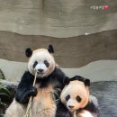 오리샤브엔야채불고기 네이버블로그