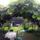 대화주택 이미지