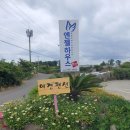 제주도애견동반펜견 제주 엔젤하우스 이용 후기