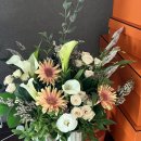 다비다펫푸드 이미지