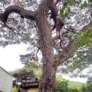 소나무경로당 이미지