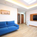 브로딕 제주 이미지