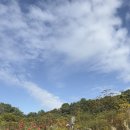 팝송교실 | 강북구 보건소 아이맘건강센터 &lt;숲 해설가와 함께하는 숲태교 교실&gt; 후기