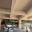 매소홀로1L | SSG VS LG 인천랜더스필드 썸머페스티벌 250816 경기 직관 후기