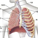 룩스필라테스 면목중앙점 이미지