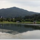 음성경보 이미지