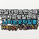 야니남편