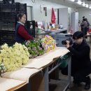 충우농장 이미지