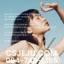 제주모두여행사