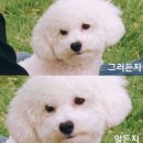 다 - 중랑구 | 다