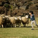 선운목장 이미지