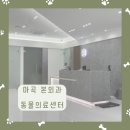 본외과동물의료센터 | [강서구 마곡] 본외과동물의료센터 건강검진 내돈내산 후기
