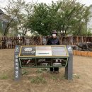 상동 지석묘군 이미지