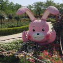 순천만여행 이미지