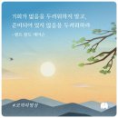 해빙데이 이미지