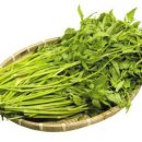 미나리슈퍼 이미지