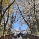 푸디스트(주) 반도병원점 | 강릉아산병원 자연분만 실패 후 응급제왕절개 4인실 & 1인실 출산후기