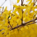 동래초등학교 이미지