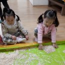 청사초롱마을 Daum카페