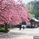 꽃내음가득 이미지