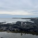 덕이네농장 이미지