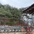 몽유재 | 양산 통도사 맛집 몽유재 찻집 비 오는 날 가기좋은 곳,한옥 카페에서 차한잔