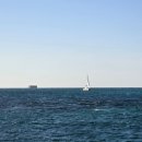 제주차귀도요트투어 네이버블로그