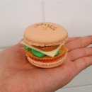 더마카롱 이미지