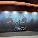 씨유 미아행운점 | 240921 데이식스 인천 콘서트 &lt;Forever young&gt; | 단풍콘 중콘 후기