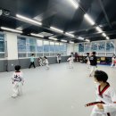 다오름태권도장 이미지