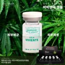 비송에스테틱 이미지