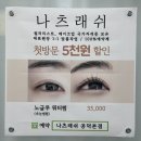 나츠래쉬 이미지